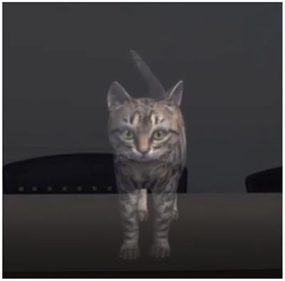 Mixed-reality-based human-animal interaction can relieve mental stress